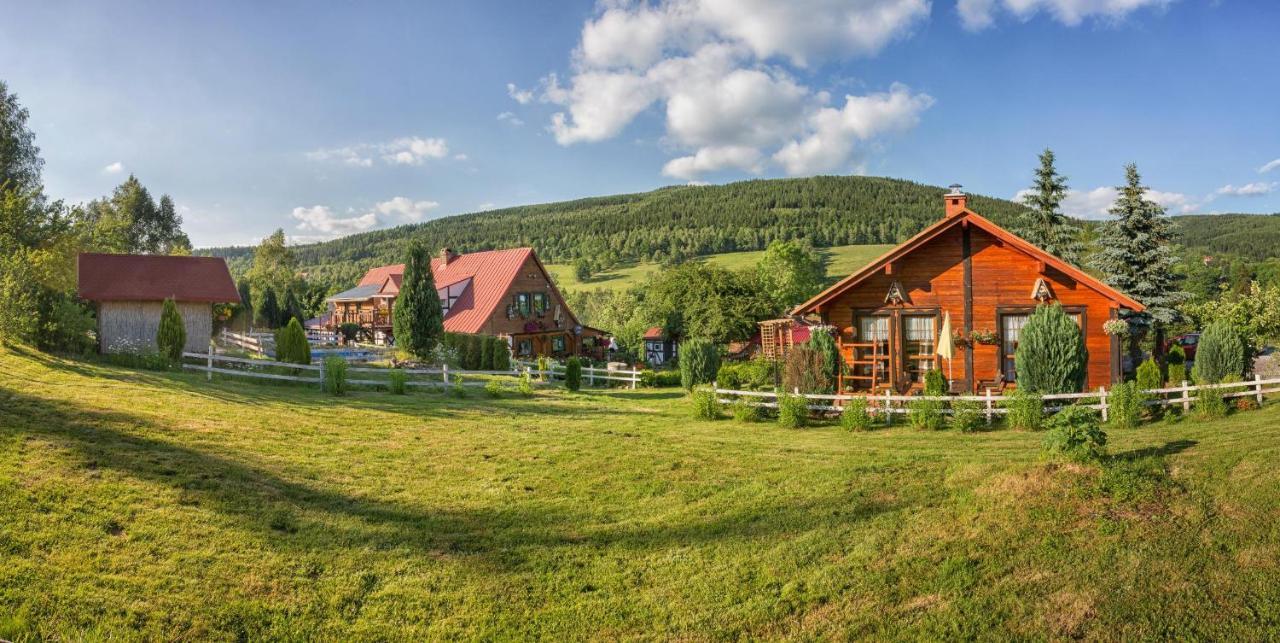 Apartament Głęboki Jar Świeradów-Zdrój Zewnętrze zdjęcie